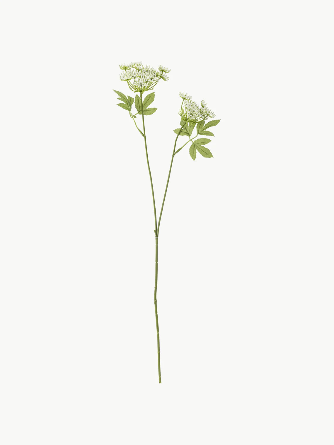 Kunstblume Fenchel | Westwing EU