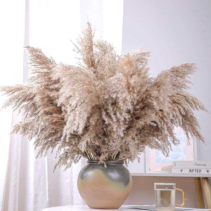 28" inch 20 Stems Natural Tall Pampas Grass Decor - Brown Fluffy Pampas Grass Decor Tall Pompas G... | Amazon (US)