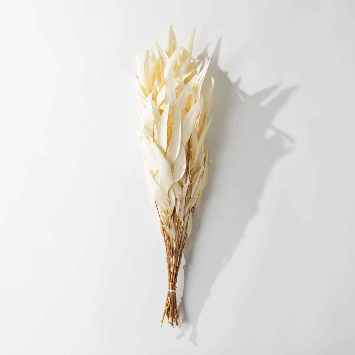 Bleached Willow Eucalyptus Bundle | Modern Locke