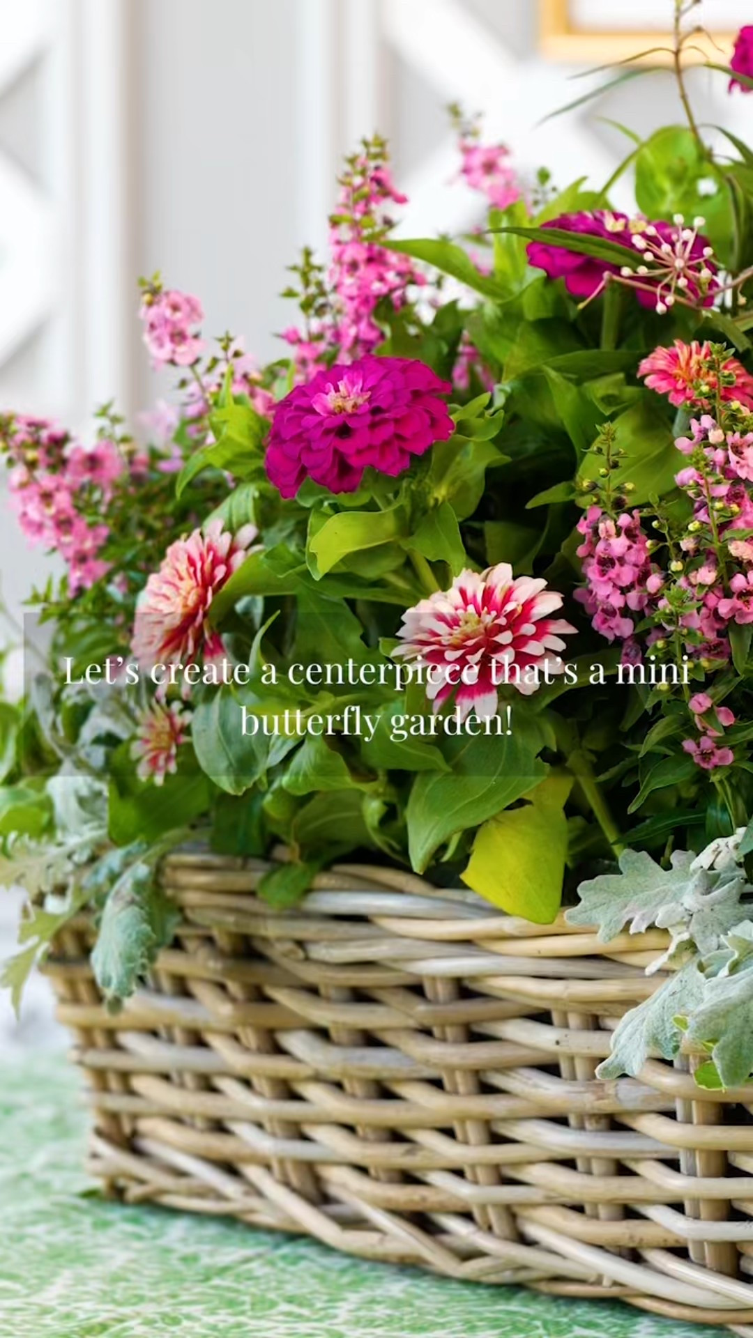 Create a mini butter fly garden that you can use as a centerpiece! All plants from @enchantedgardenrichmond In Texas. 
zinnias + milkweed , pentas, nemesia & dusty miller and trailing vinca vine. 

#pottedcenterpiece #floralcenterpiece 
#giftidea #mothersdaygift #plantloving
#pottedplants

#LTKSeasonal #LTKParties #LTKHome