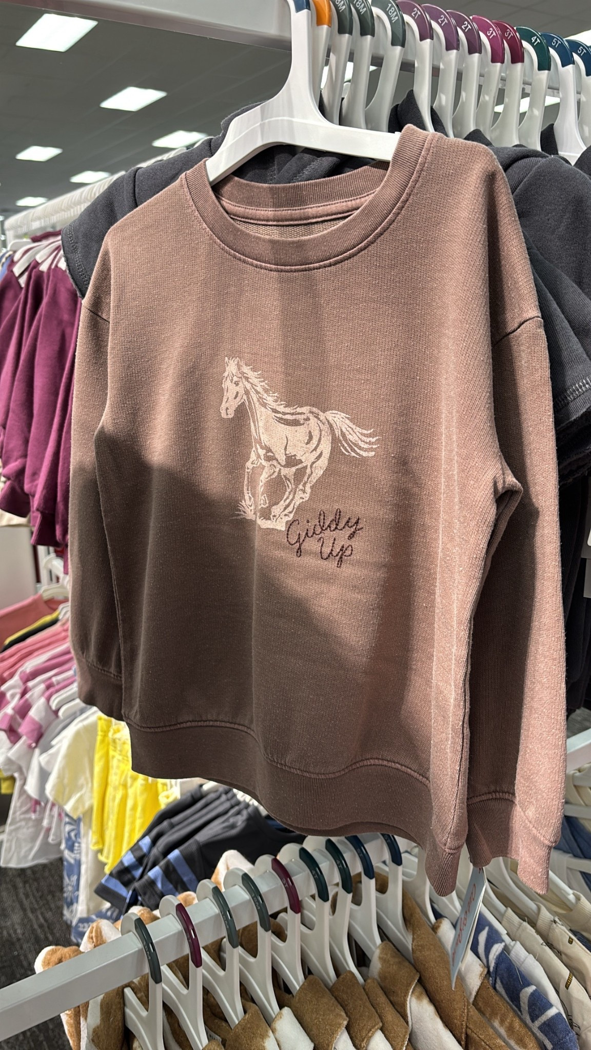 For the horse obsessed toddlers 🐴 

#targetkids #targetfinds #toddlerstyle #fallstyle #toddlersweatshirt #toddlerfinds #horsesweatshirt #babyboy #toddlers #toddlerboy #toddlergirl #genderneutral 

#LTKStyleTip #LTKBaby #LTKKids