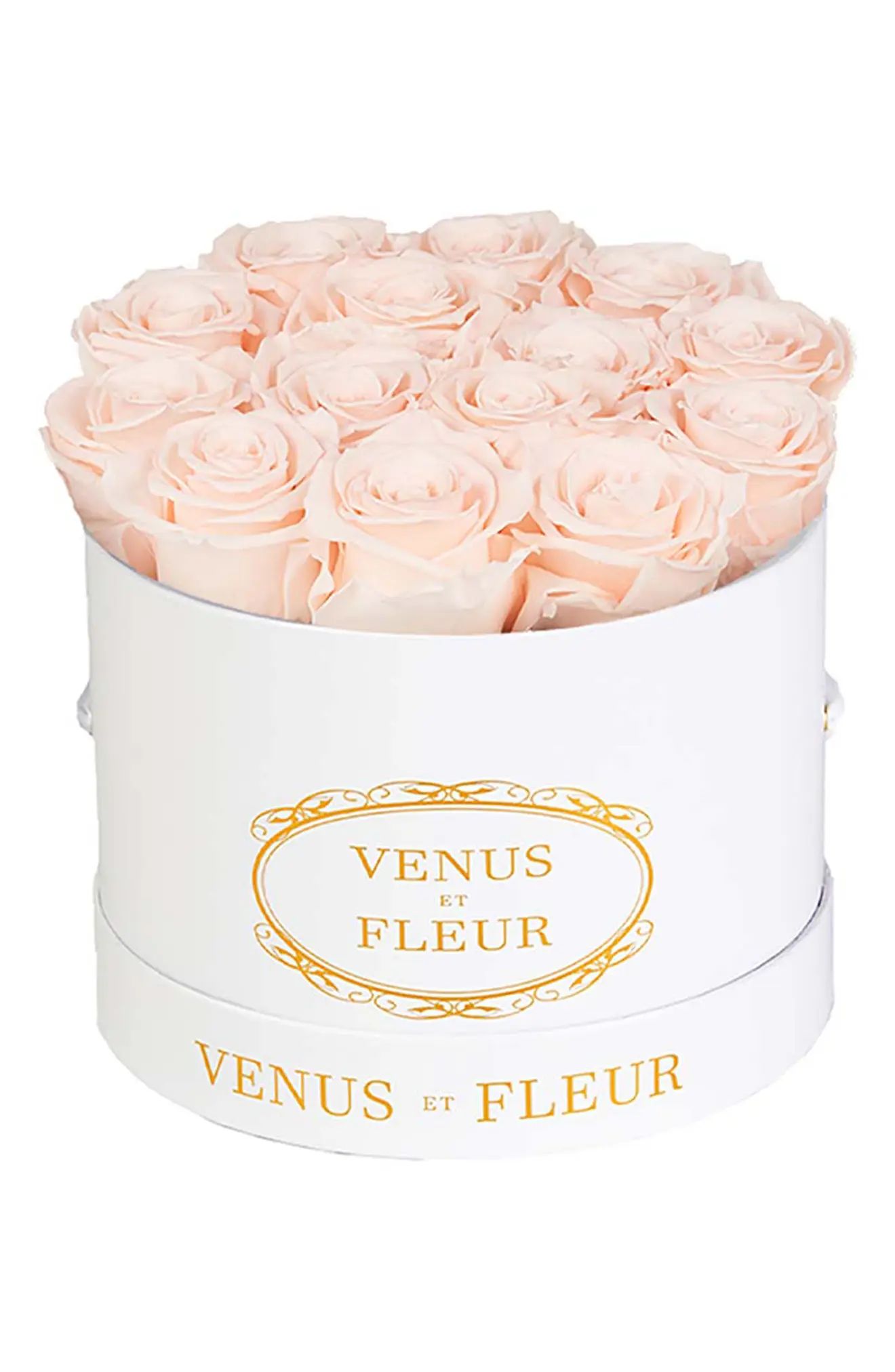 Venus ET Fleur Classic Small Round Eternity Roses in Blush at Nordstrom | Nordstrom