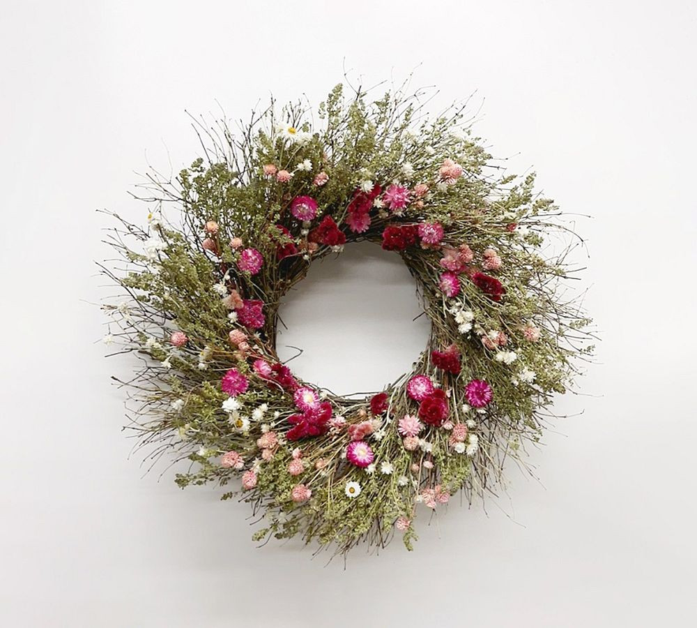 Dried Cupid's Dream Wreaths | Pottery Barn (US)