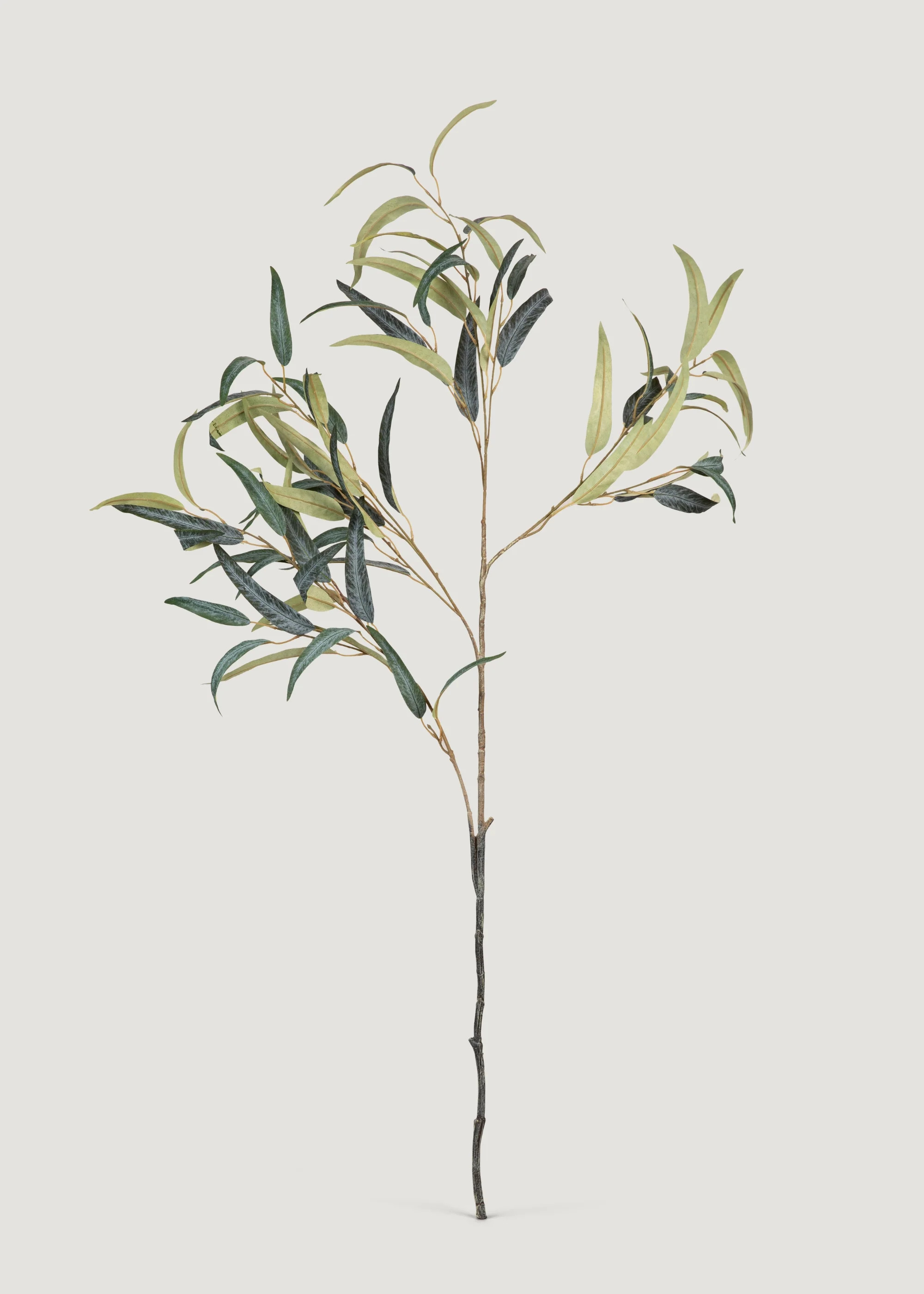 Deluxe Willow Eucalyptus Branch | Artificial Foliage at Afloral | Afloral
