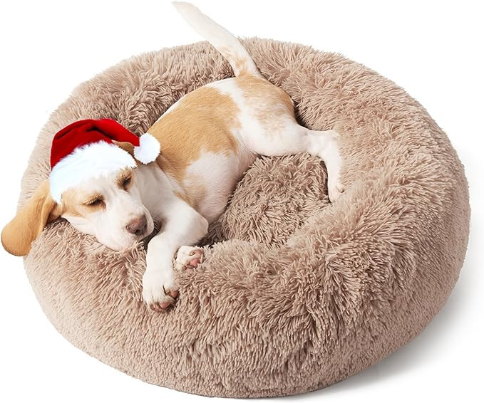 Bedsure Calming Dog Bed for Small Dogs - Donut Washable Small Pet Bed, 23 inches Anti-Slip Round ... | Amazon (US)