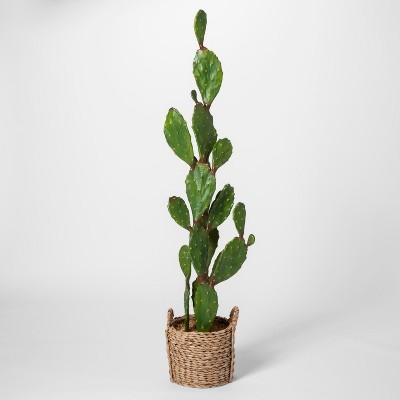 61" x 18" Artificial Cactus In Basket Green/Brown - Opalhouse | Target