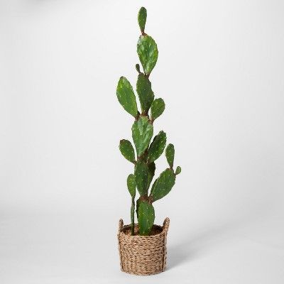 61" x 18" Artificial Cactus In Basket Green/Brown - Opalhouse™ | Target