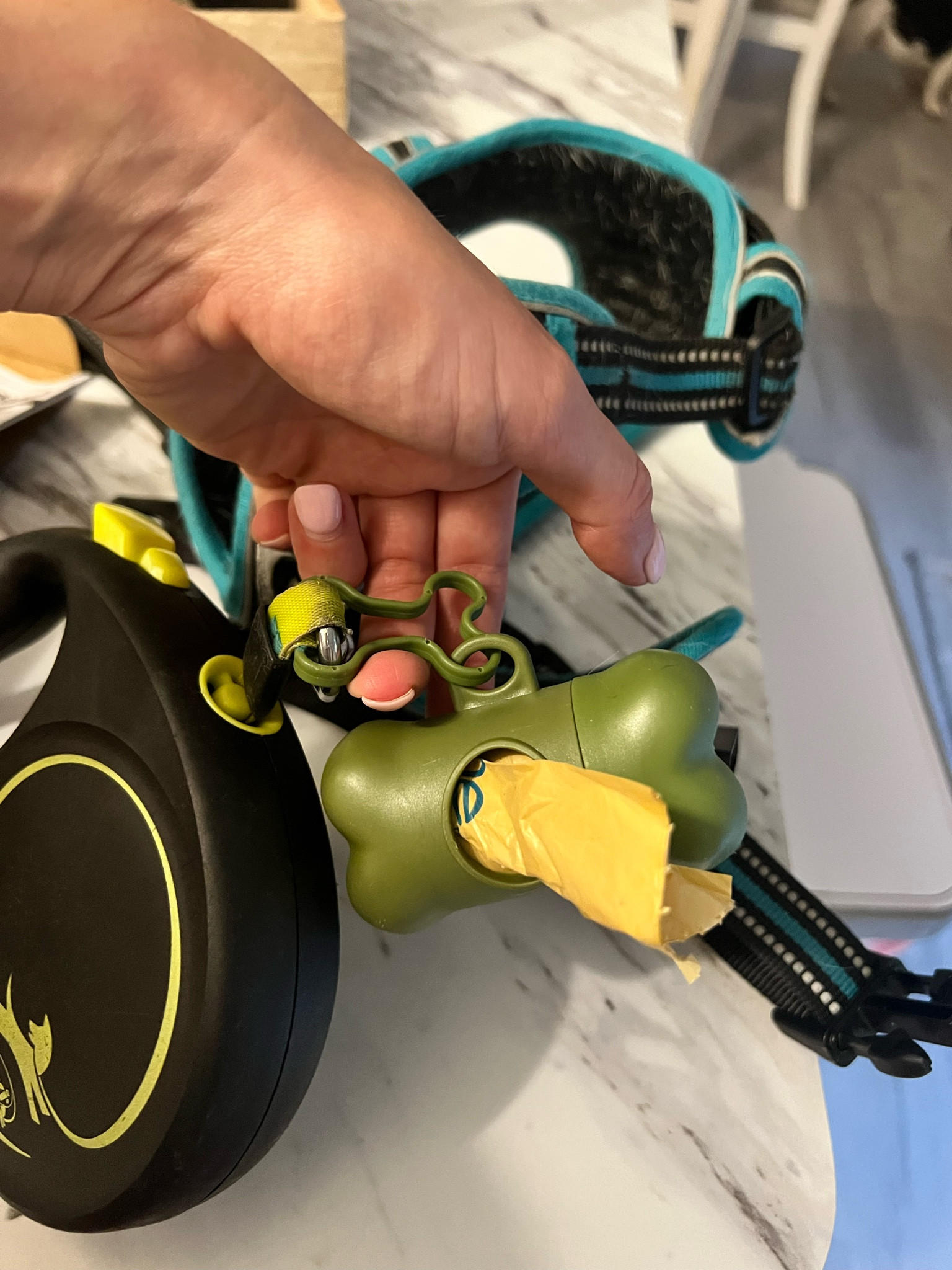 Dog poo holder 

#LTKtravel #LTKFind