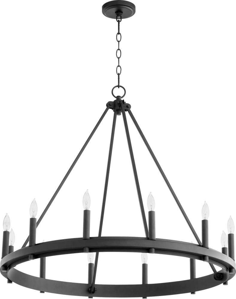 Quorum 611-12-69 Transitional 12 Light Chandelier from Aura Collection in Black Finish, Noir | Amazon (US)