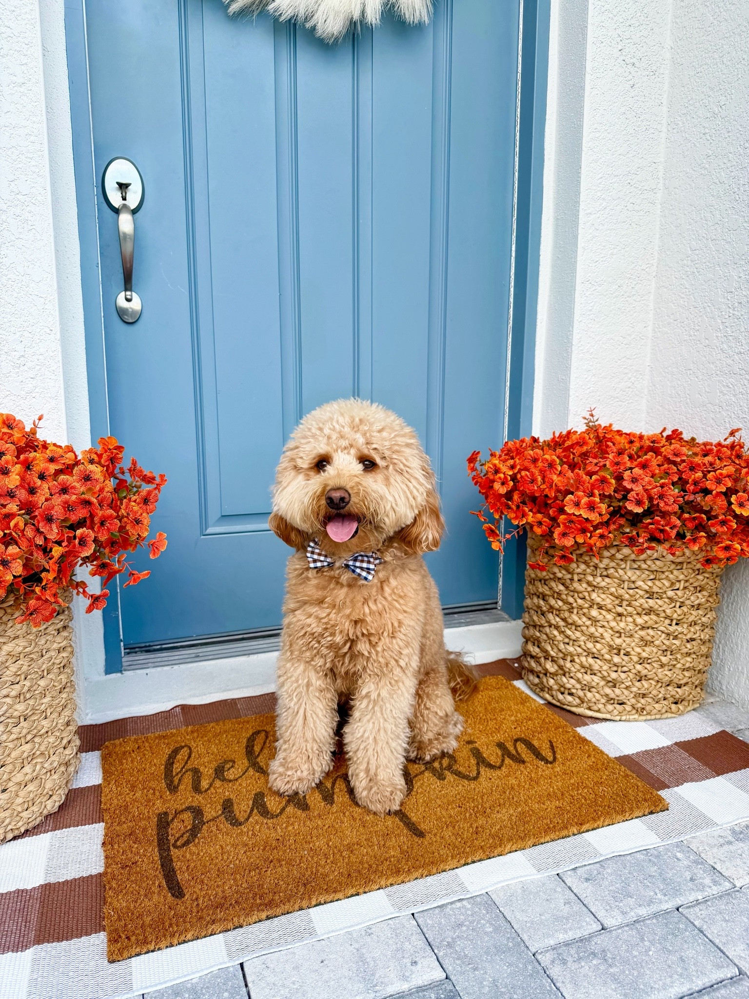 Fall Porch + Fall Patio Decor - Artificial Mums styled in a woven basket with artificial white pumpkins, a plaid mat, seasonal fall welcome mat, + a cream pampas wreath for the front door. The fake pumpkins come as orange pumpkins in various sizes too. The artificial mums also come in a variety of fall colors. This only took me a few minutes to put together and decorate our front porch/ patio. I arranged the mums into the styrofoam and then placed each set in a basket. This is an easy + cozy way to decorate your home for fall!

#LTKHome #LTKSeasonal #LTKmomlife