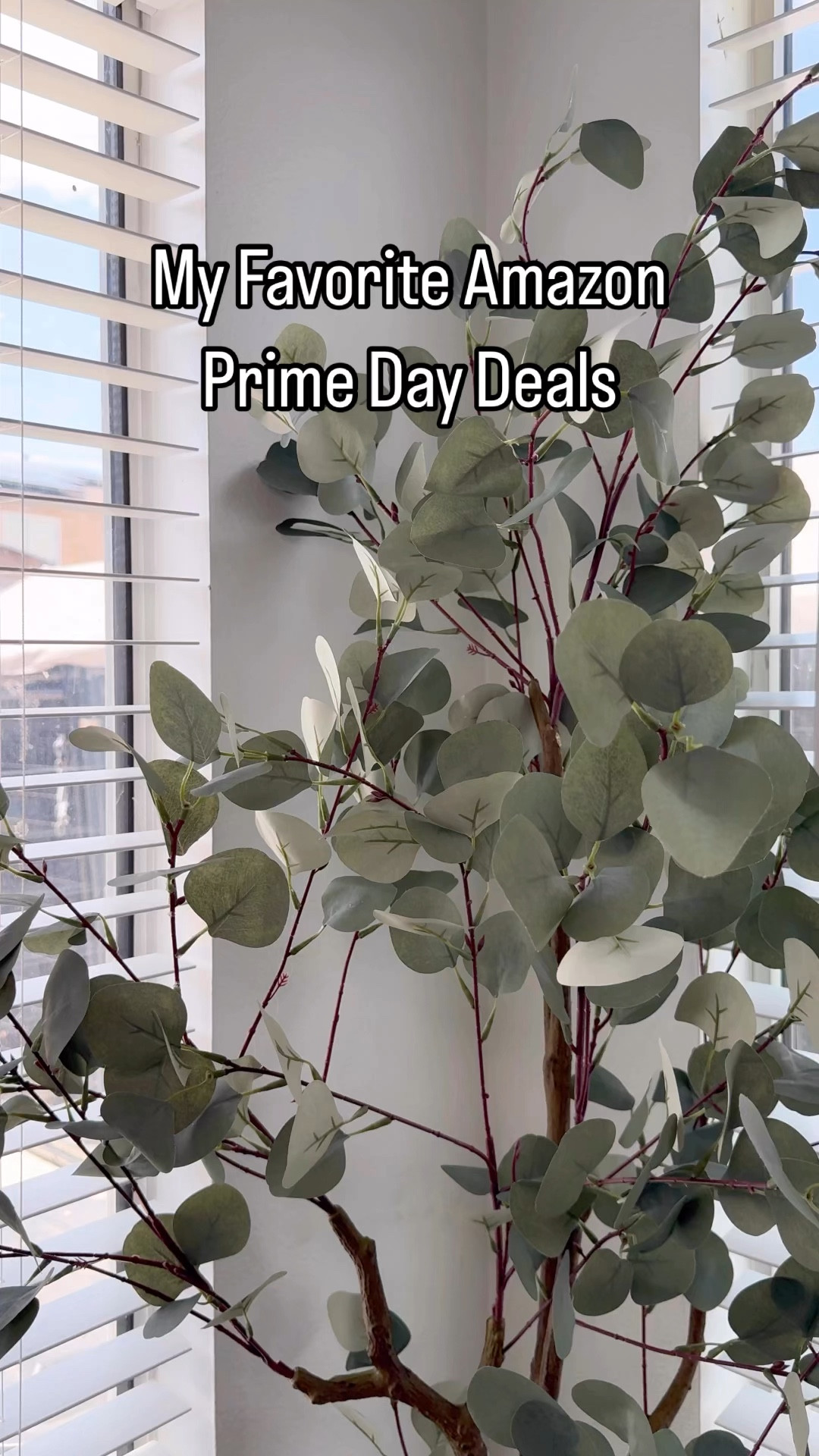 Amazon Prime Day Deals 

#LTKSaleAlert #LTKHome #LTKVideo