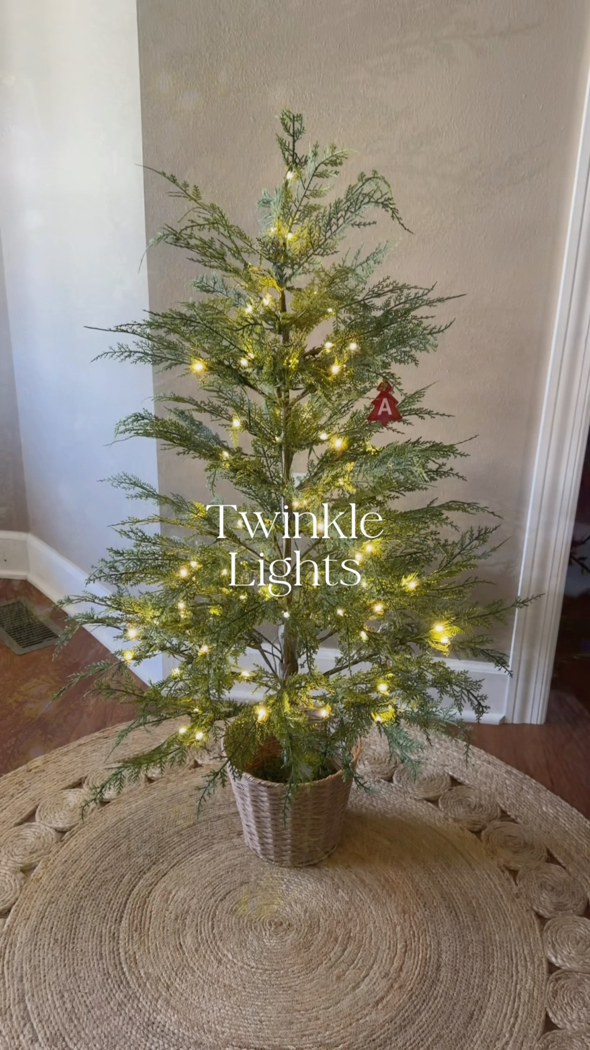 She’s back!! The viral 4 foot twinkle tree from My Texas House at Walmart has restocked. Also comes in full size trees. 7.5, 9 & 12 foot! 

#LTKHome #LTKSeasonal #LTKFindsUnder100