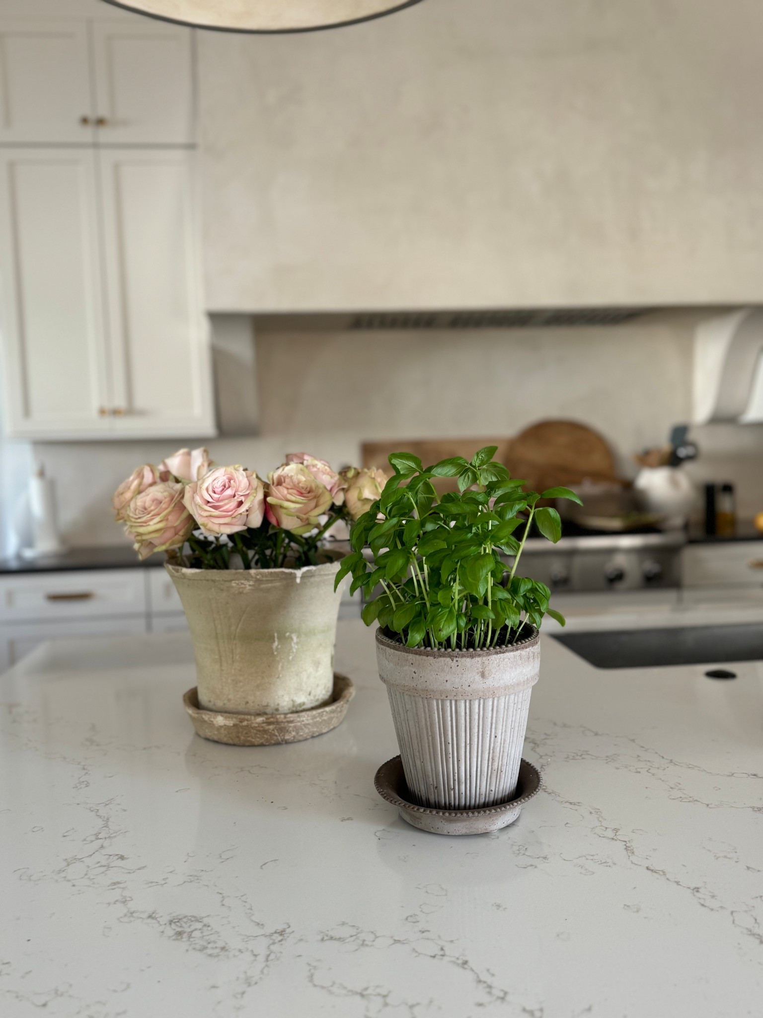 Favorite clay pottery 