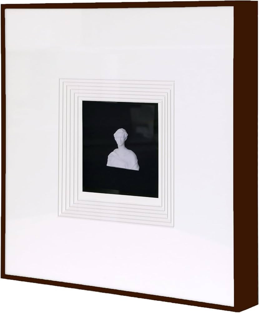 Sculpture Wall Art,French Vintage Decor with Framed,Aesthetic Black Paintings for Home Living Roo... | Amazon (US)