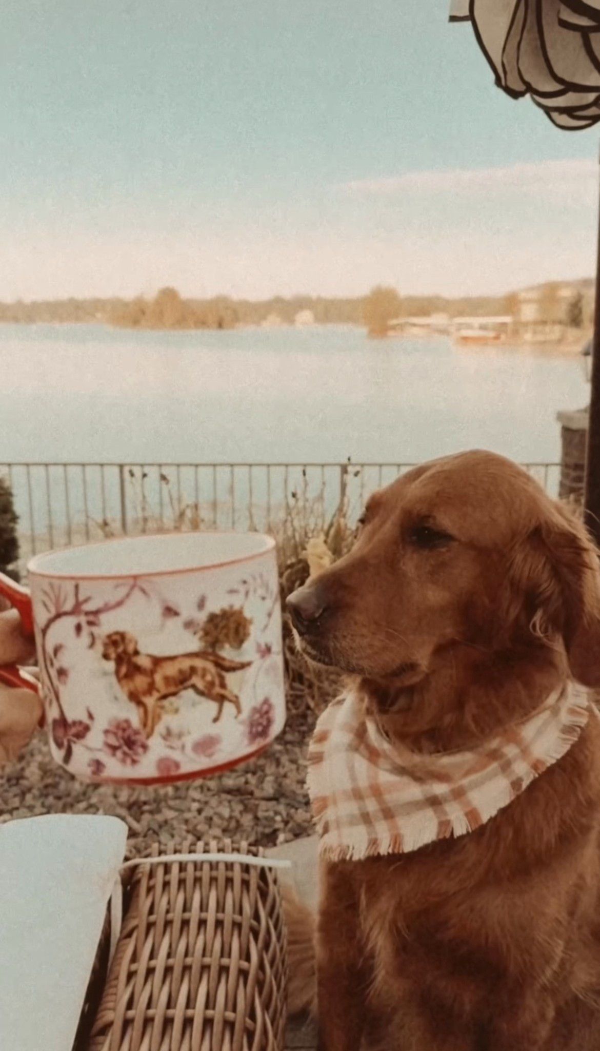 The cutest little mug for golden retriever lovers like me 🍂