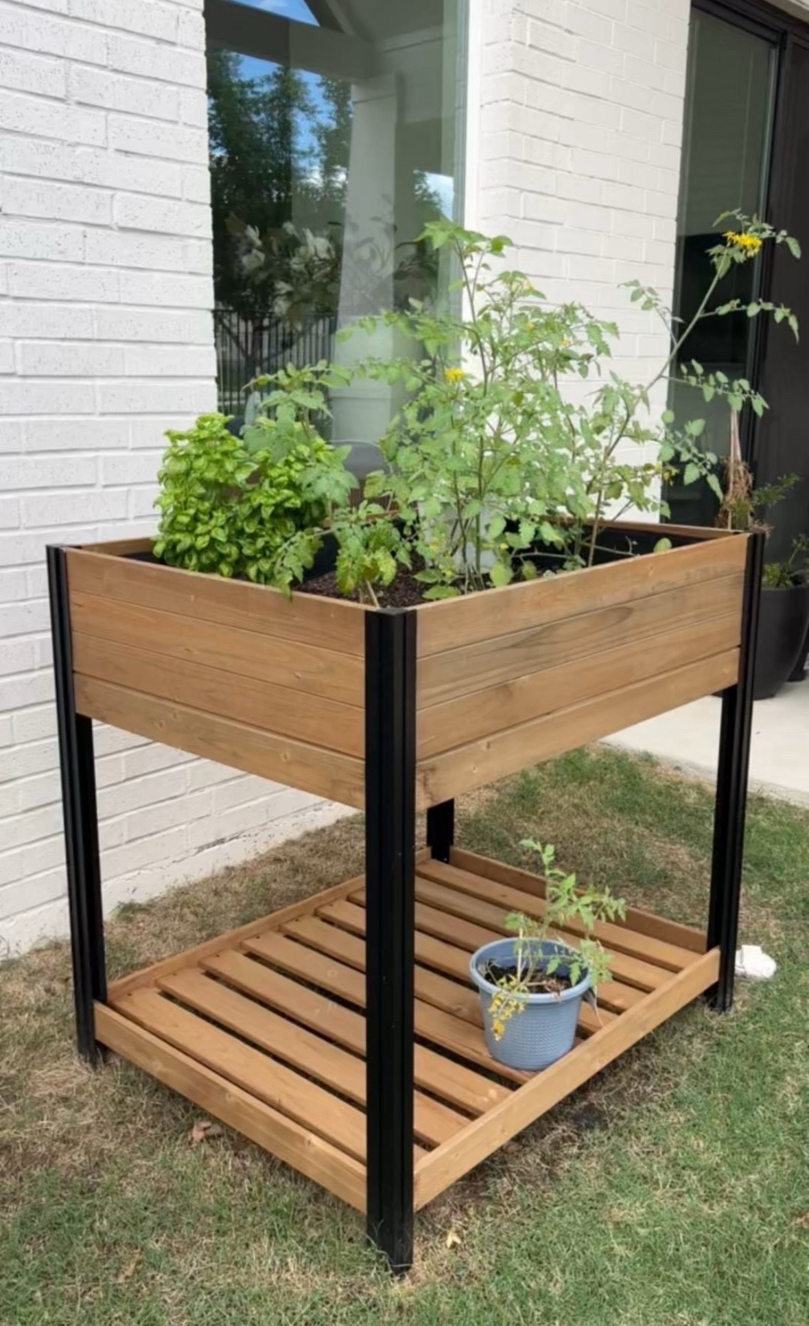 Love our raised planter box! So easy to use, don’t have to bend over, and can easily roll

#LTKHome