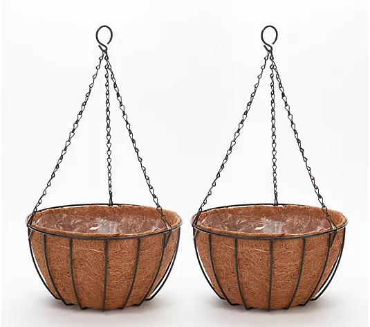 Make Your Selection: Roberta's Set of 2 Hanging Wire Baskets w/ Coco Liner & Chain | QVC