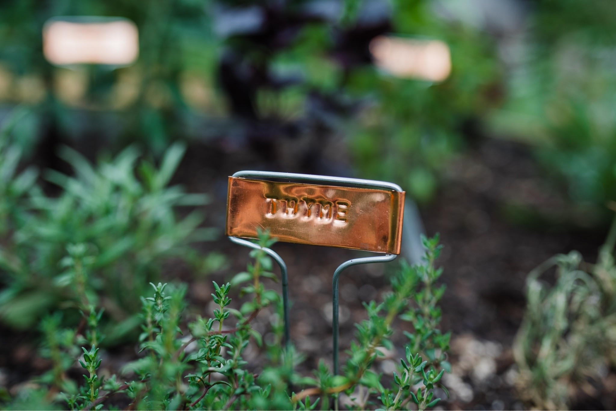 DIY Copper Garden Signs. Paid $1.20 a sign instead of $15 ! The supplies I used.

#LTKHome #LTKU #LTKSeasonal