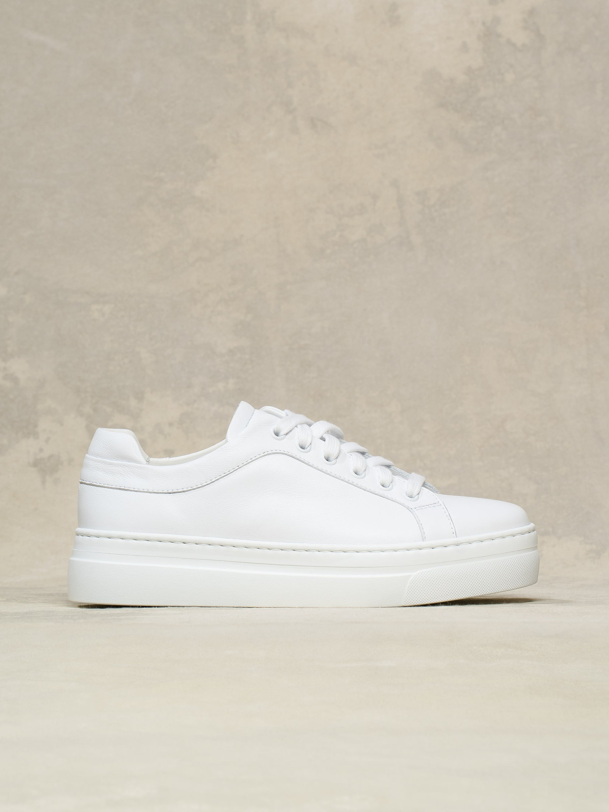 The Palestra Alta | M.GEMI