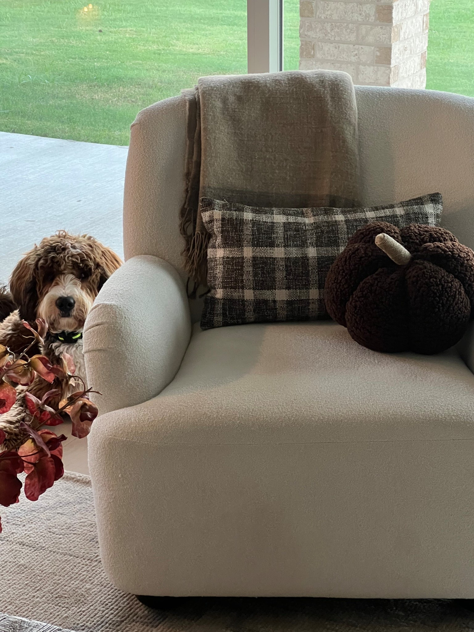Cutest pumpkin pillow from Walmart! 

#LTKU #LTKFindsUnder50 #LTKHome