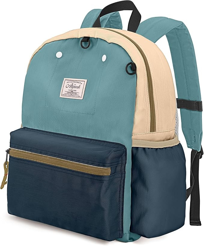 Toddler Backpack for Boys 2-5: Preschool Kindergarten 13" Daycare Backpacks Fit A4 Folder | Amazon (US)