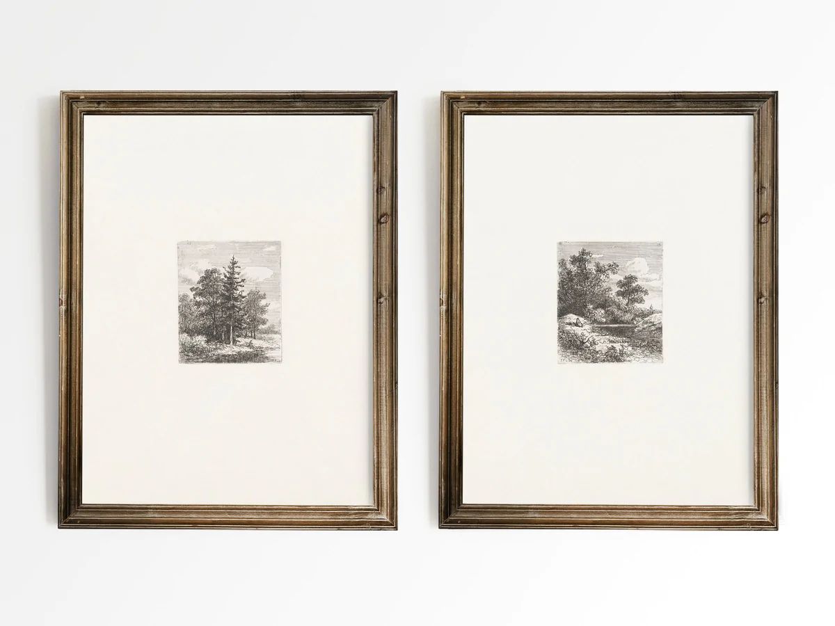 Forest Etchings | Heirloom Print Shop