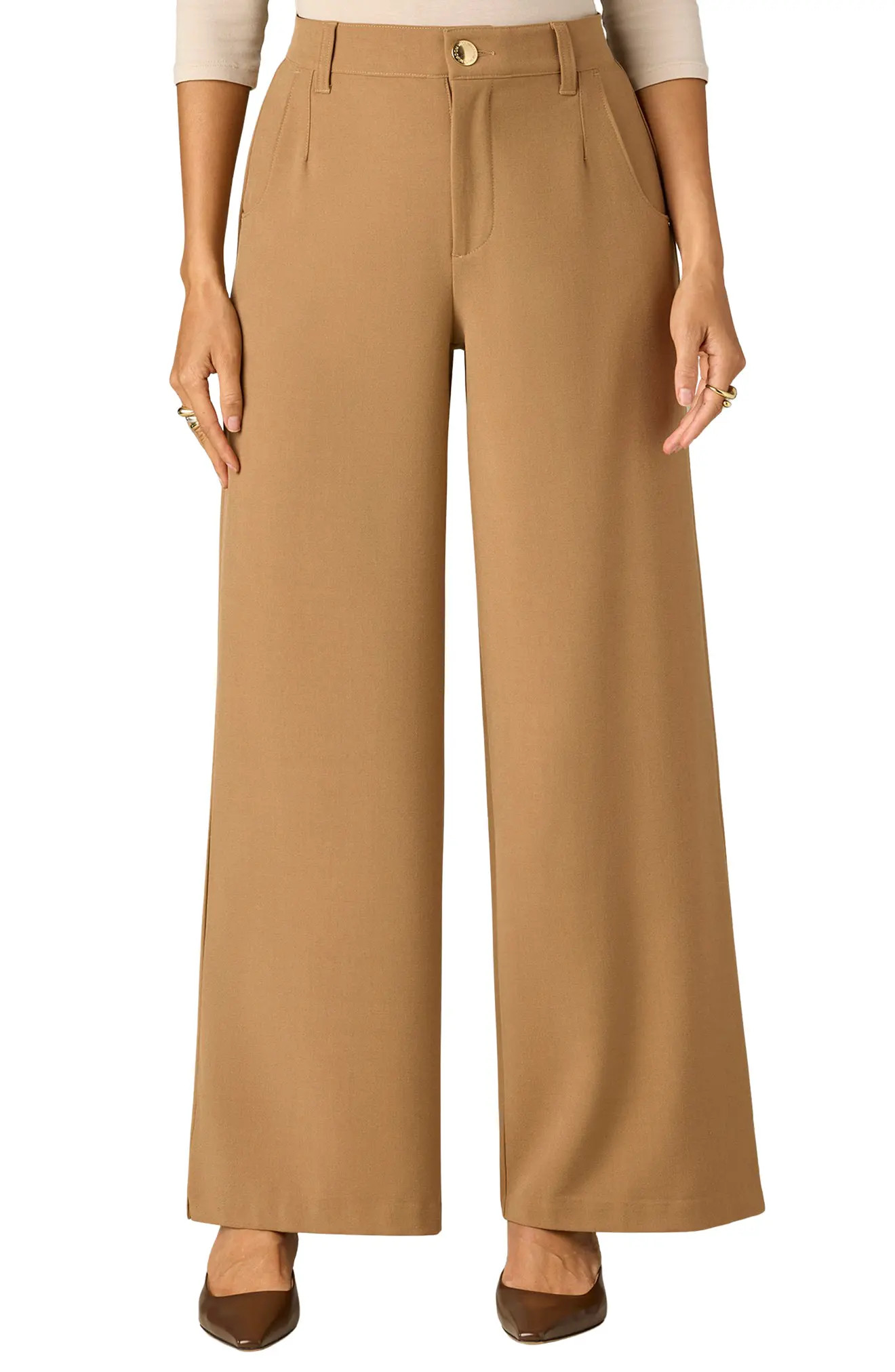 Wit & Wisdom Whitney Skyrise Flat Front Wide Leg Pants (Women) | Nordstrom | Nordstrom