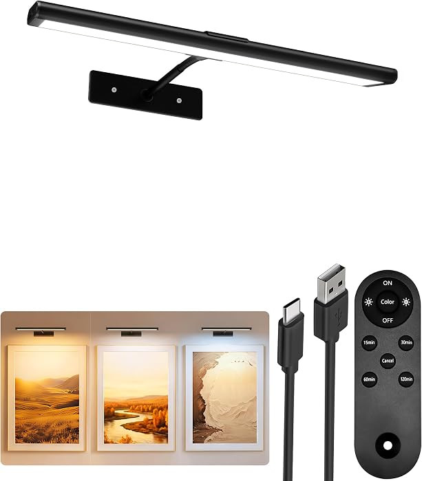 EZVALO Picture Light for Wall, 13'' Black Rechargeable 4800mAh Battery Lights Wireless with IR Re... | Amazon (US)