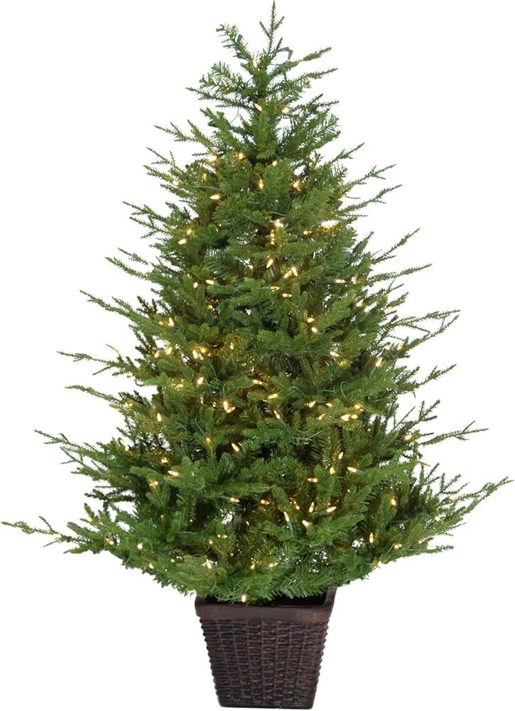 Fraser Hill Farm 5-Ft. Potted Andirondack with Warm White LED Lights | Amazon (US)