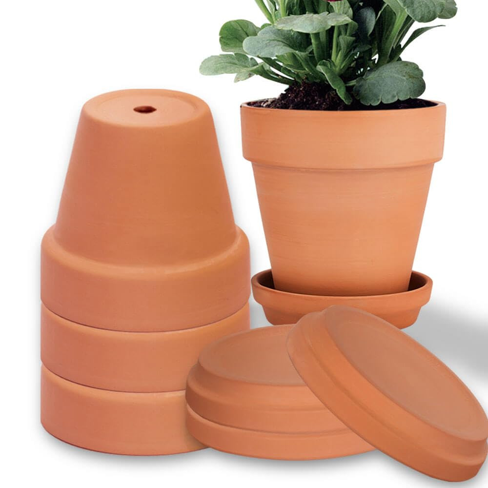 6 Inch Clay Pot for Plant with Saucer - 4 Pack Large Terra Cotta Plant Pot with Drainage Hole, Fl... | Amazon (US)