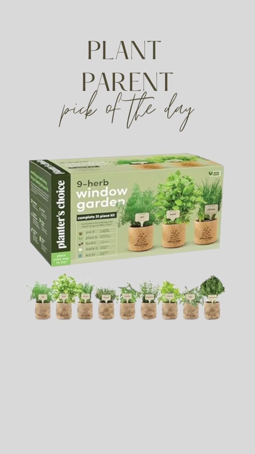 Fresh herbs, right on your windowsill ✨
This 9-herb window garden kit makes growing your own basil, mint, parsley & more feel effortless — perfect for beginners or anyone craving a little green joy indoors.

Grow fresh. Cook fresh. Live fresh.

#LTKHome #LTKSpringSale