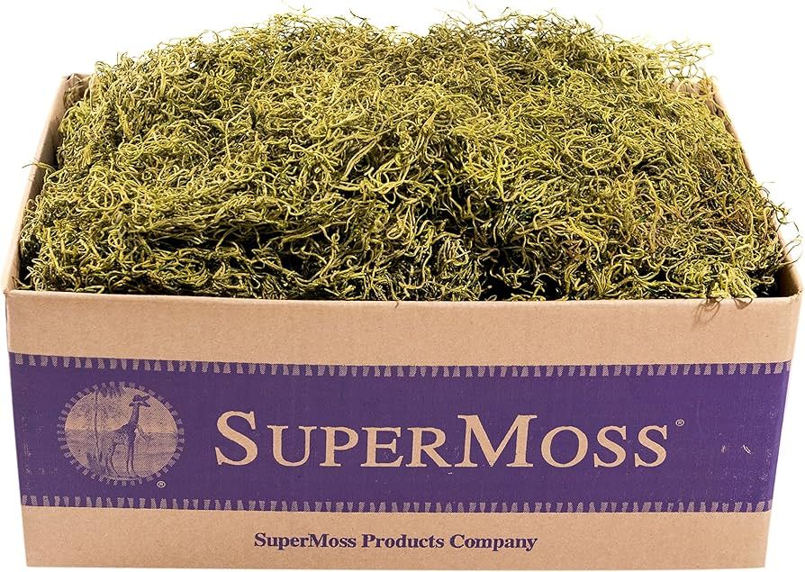 SuperMoss 27011 Spanish Moss Preserved, Appx. 3 lb Bulk Case, Basil | Amazon (US)