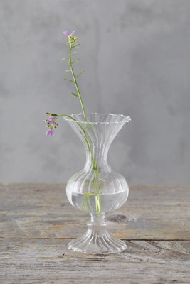 Scalloped Glass Vase | Anthropologie (US)