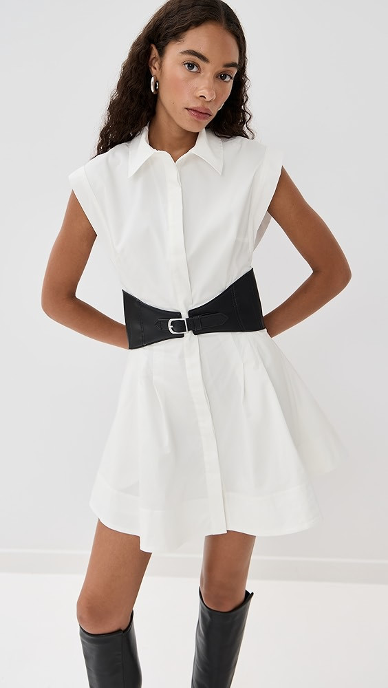 Adler Belted Mini Dress | Shopbop