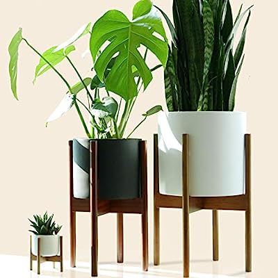 Fox & Fern Mid Century Plant Stand Indoor - Acacia - EXCLUDING 10" Ceramic Pot - Fits Snake Plant | Amazon (US)