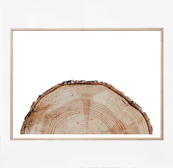 Wood Rings Print, Tree Ring Print, Log Slice, Wood Logs, Tree Ring Wall Art, Farm Tree Rings Prin... | Etsy (US)