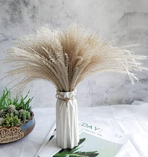 Quiganfo 23" Tall Fluffy Pampas Grass Flowers, Dried Plants Flower Branches as Vase Filler, Festi... | Amazon (US)