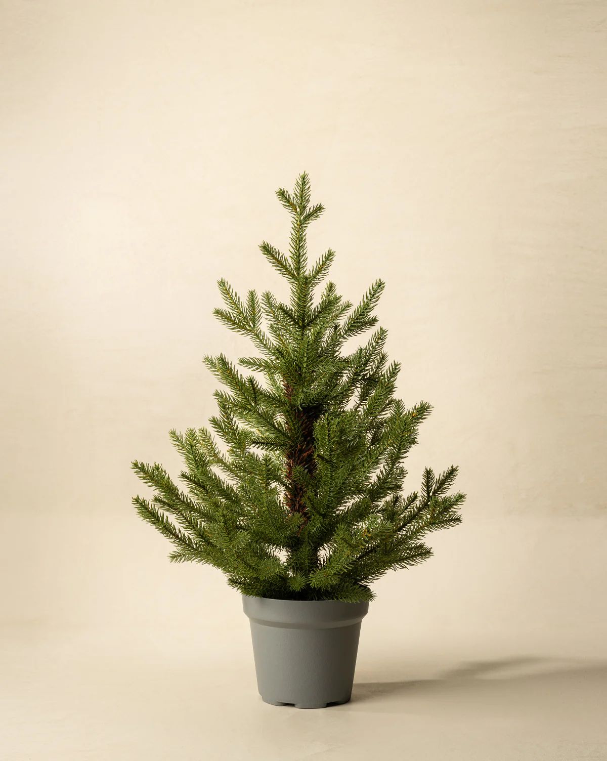 Norway Spruce Mini Faux Tree | McGee & Co. (US)