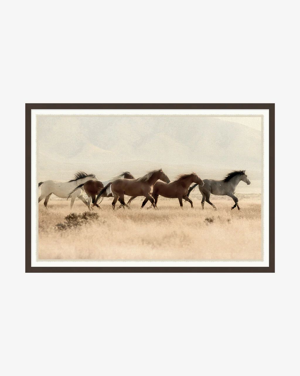 Wild Horses | McGee & Co.