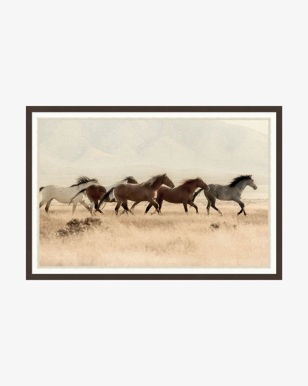 Wild Horses | McGee & Co.