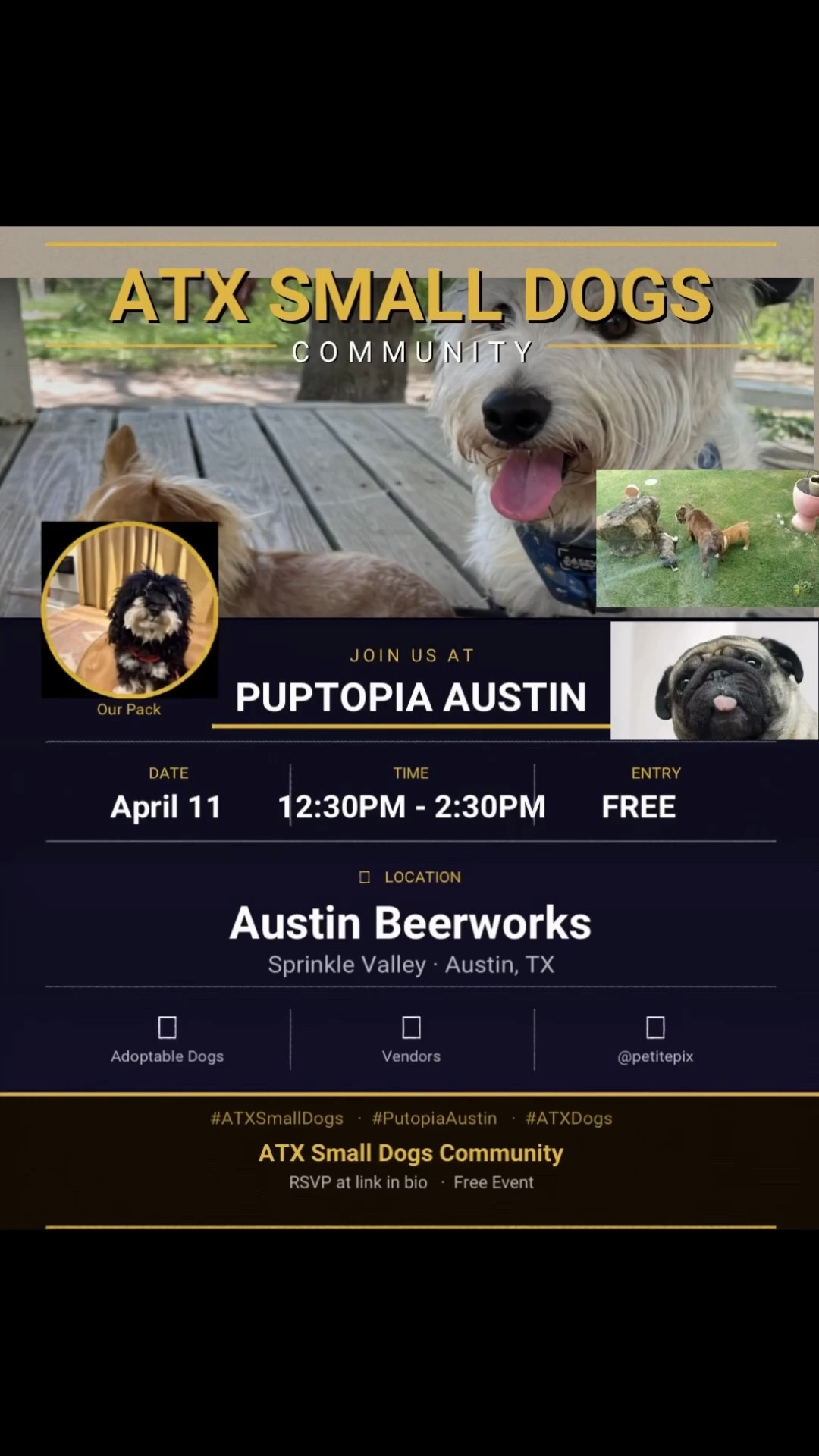 🐾✨ ATX SMALL DOGS x PUPTOPIA FEST ✨🐾

Austin… it’s happening! 🎉
Puptopia is officially coming back and we’re making it a moment for our pack 🐶💫

Join us on:
📅 April 11
⏰ 11AM – 4PM
📍 Austin Beerworks

This is a FREE event and it’s packed with fun:
🐾 Local vendors your pup will love
🐶 Adoptable dogs
📸 Photo ops by @petitepix
🎾 A brand-new PLAYZONE experience

💖 ATX SMALL DOGS EXCLUSIVE:
We’ll have a private gated playpen area just for our pups to safely play, socialize, and make new furry besties 🐕💕

⏰ Small Dogs Playtime: 12:30PM – 2:30PM
After that, we’ll walk together and enjoy the festival as a group 🐾✨

Whether your pup is shy, playful, or the life of the party—this is the perfect space for them to connect while we enjoy the vibes together 🌿💫

👉 RSVP for our Small Dogs Playtime through the link in our bio on FACEBOOK or the APP
👉 Comment below if you’re coming so we can look out for you!

Let’s show up, support, and represent our small dog community strong 💅🐾

#ATXSmallDogs #AustinDogs #DogMomLife #Puptopia #AustinEvents #DogMeetup #SmallDogsOfATX

#LTKvlog #LTKdayinmylife #LTKFestival