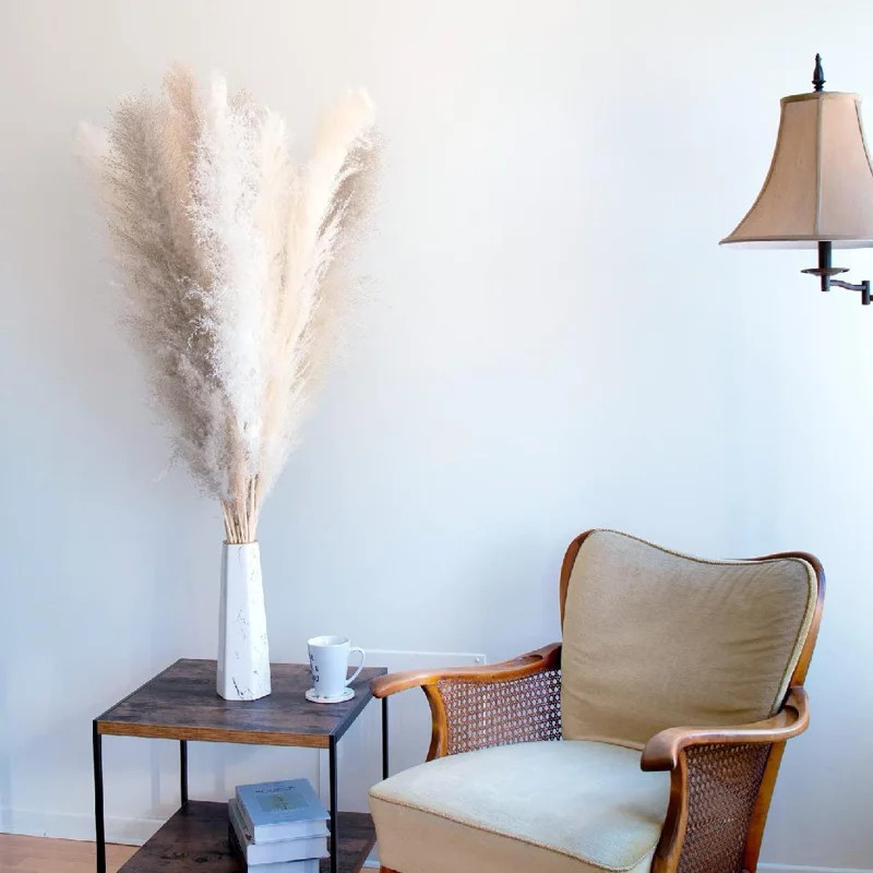Gravity Natural Dried Pampas Grass Decor Tall Pampas Grass Large Fluffy For Home, Wedding, Gifts,... | Wayfair North America