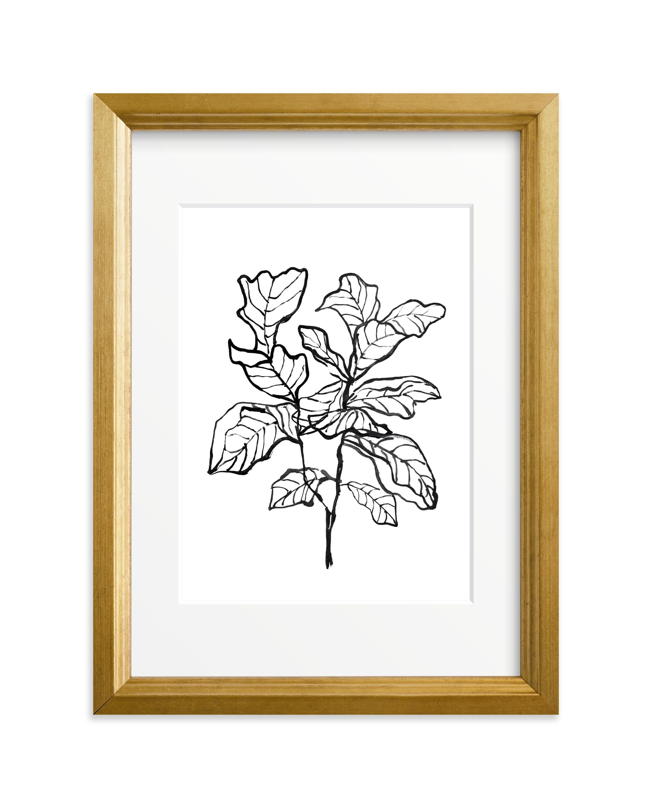 "Fiddle-leaf fig tree 1" - Drawing Limited Edition Art Print by Cass Loh. | Minted