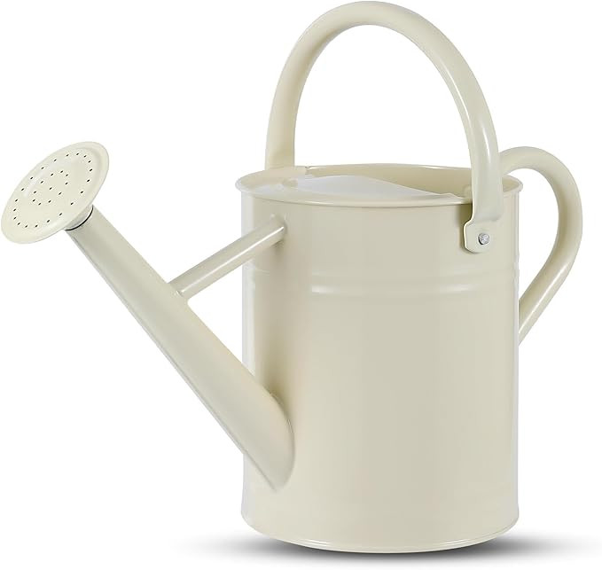 1 Gallon Watering Can for Plants, Watering Cans for Indoor&Outdoor Gardening, Galvanized Steel Wa... | Amazon (US)