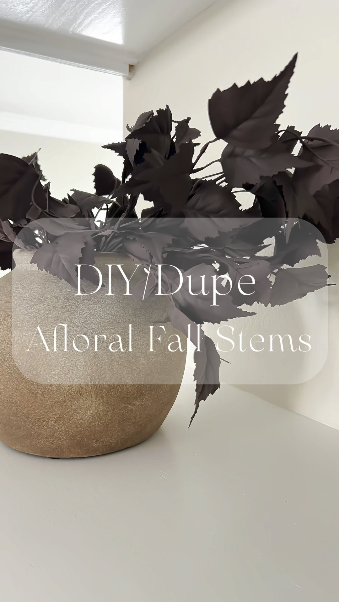 Afloral DIY materials linked! Check out my reel’s caption for details! 

Fall stems, acrylic paint, plum stems, faux florals, diy fall stems


#LTKSeasonal #LTKhome