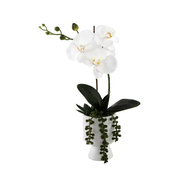 Orchids Centerpiece in Planter | Wayfair North America