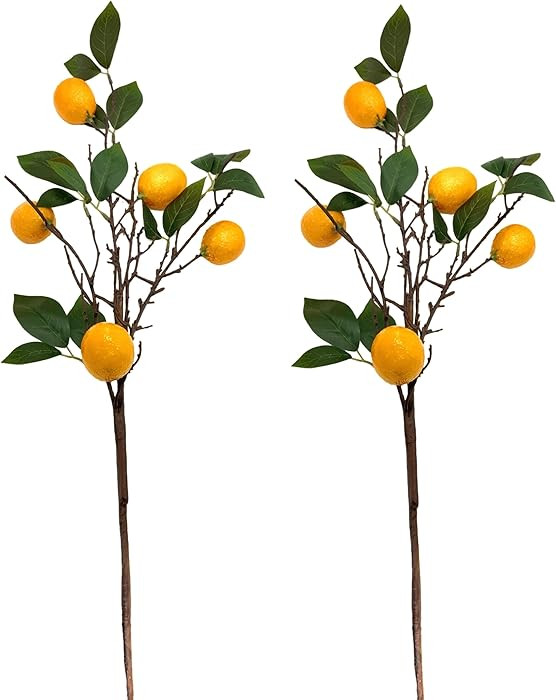 M2cbridge Artificial Lemon Plants Branches 30" for Kitchen Party Table Centerpiece Home Decoratio... | Amazon (US)