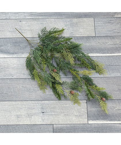 Ragon House | 35'' Cedar & Hemlock Hanging Vine Spray | Zulily