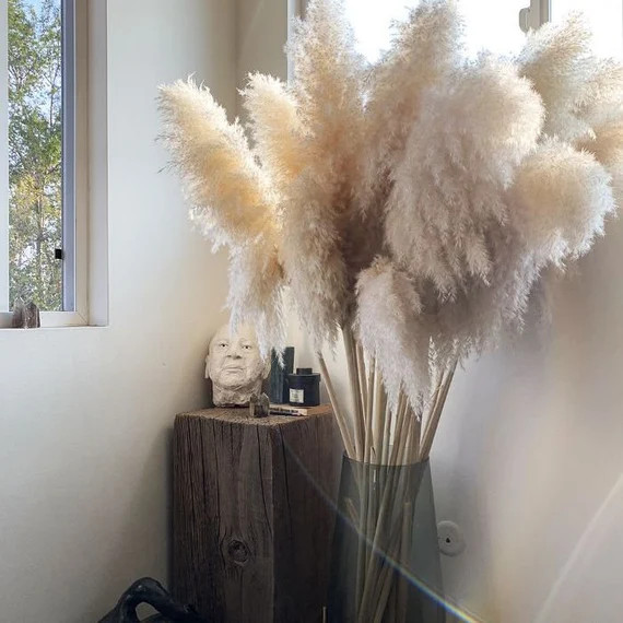 Dried Pampas Grass Reed Plume Stem 140 cm 6 Colors Decorative Feather Flower Arrangement Beach Th... | Etsy (US)