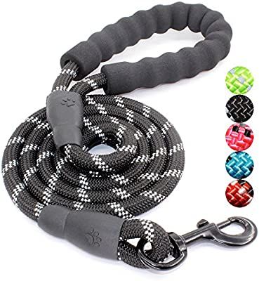 BAAPET 5 FT Strong Dog Leash with Comfortable Padded Handle and Highly Reflective Threads Dog Lea... | Amazon (US)